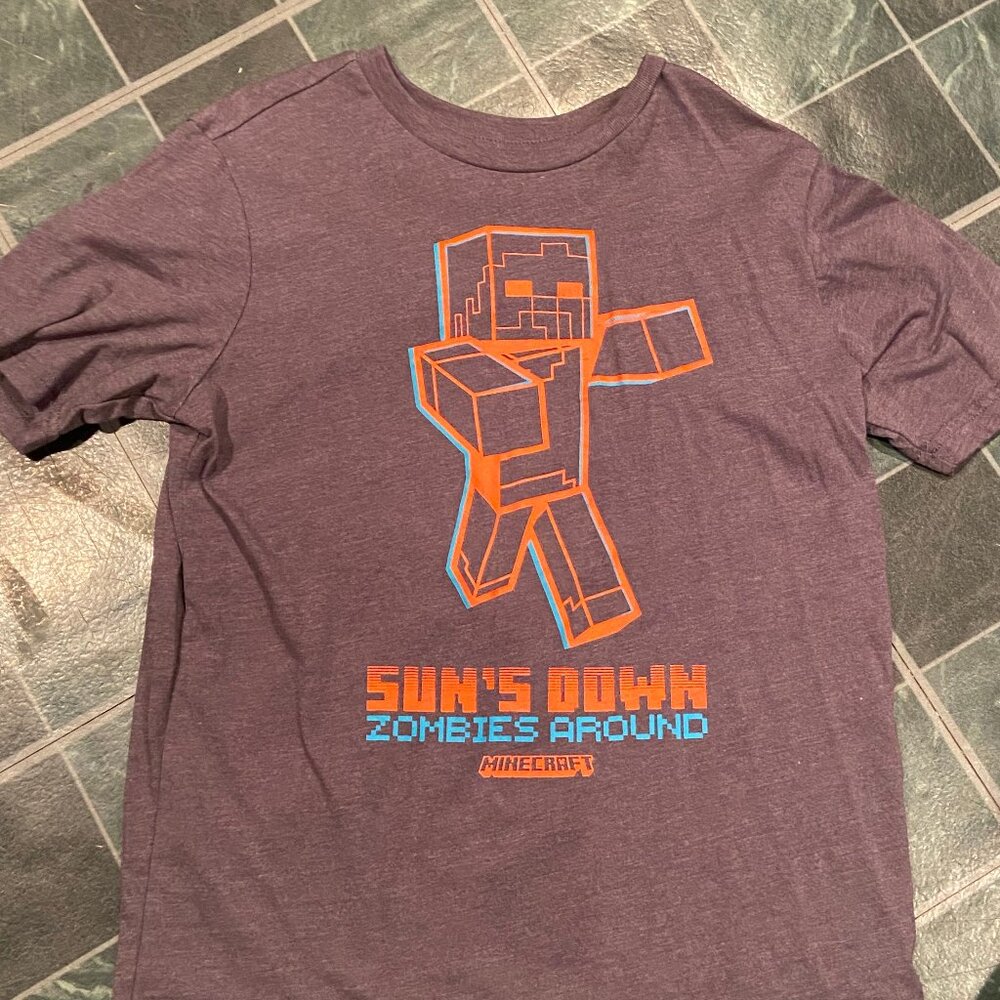 Mojang Boys Large (10/12) Short Sleeve T-Shirt Pre Owned i1